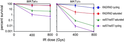 Figure 6.—