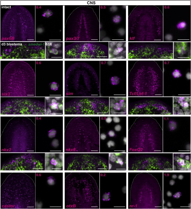 Figure 3