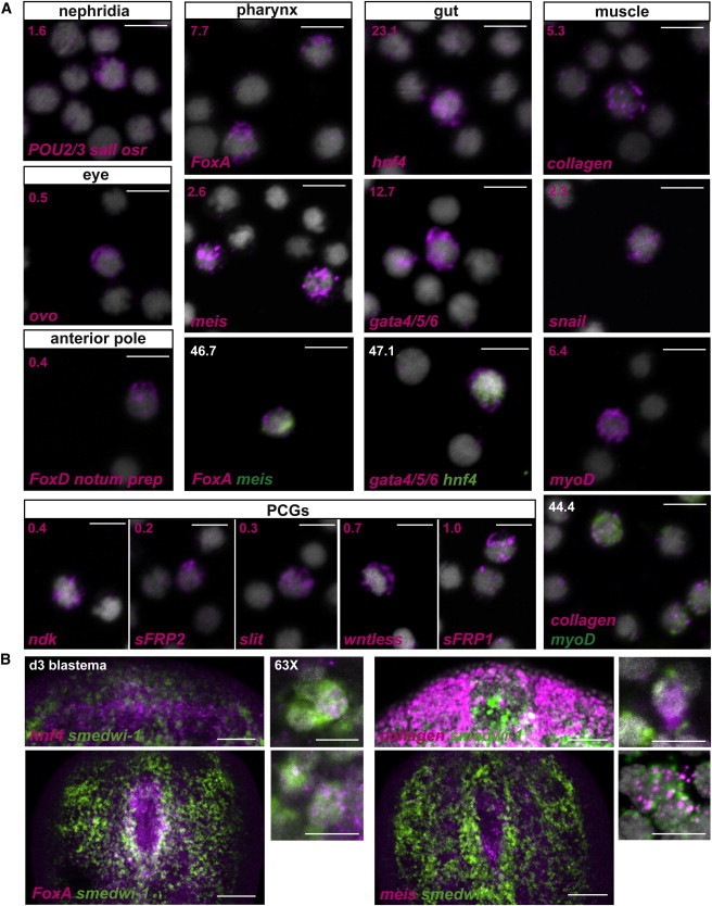 Figure 2