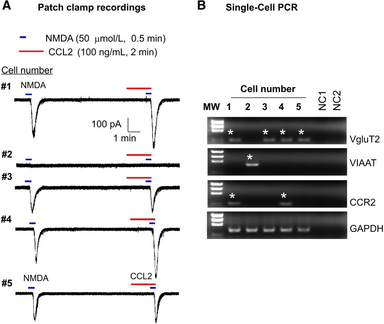 Fig. 2