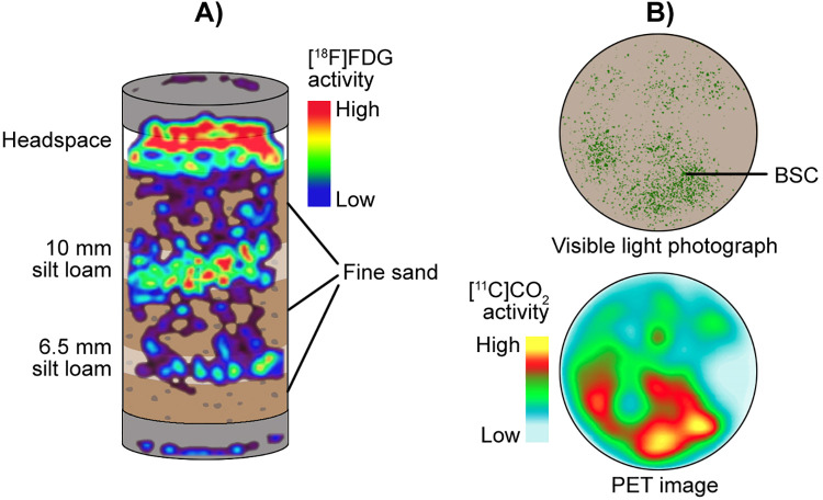 Figure 10.