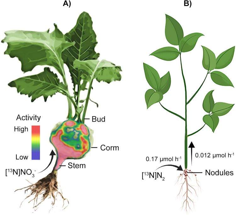 Figure 4.