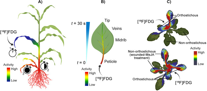 Figure 7.