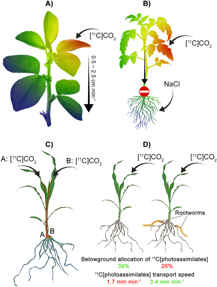 Figure 6.