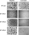 Fig. (3)