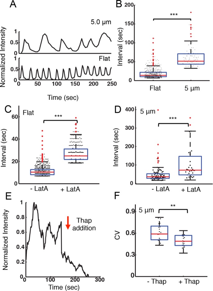 FIGURE 5: