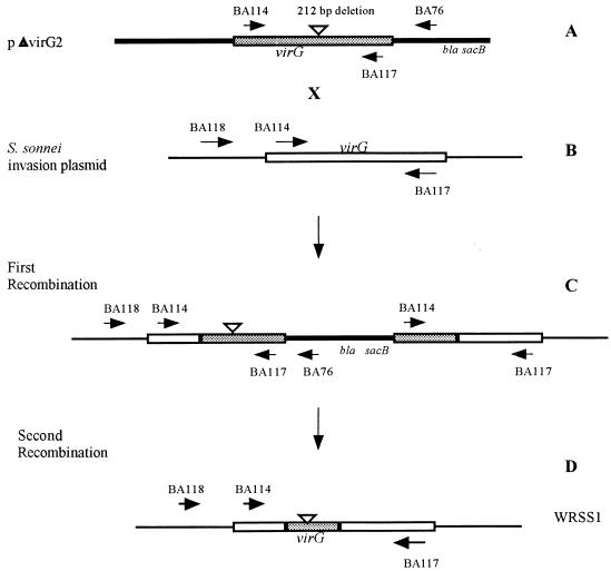 FIG. 1