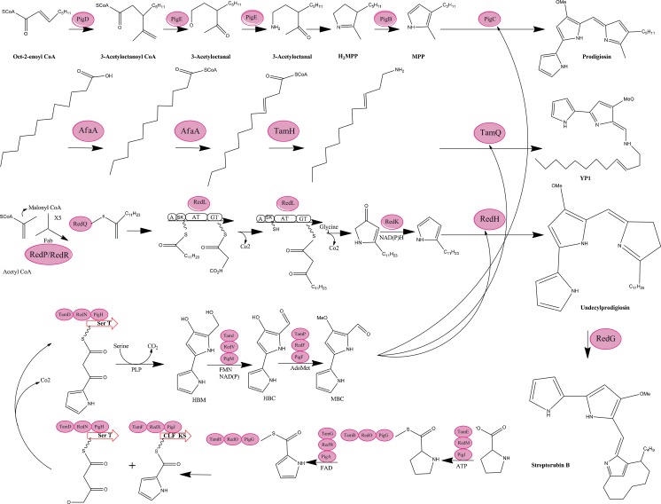 Fig. 2