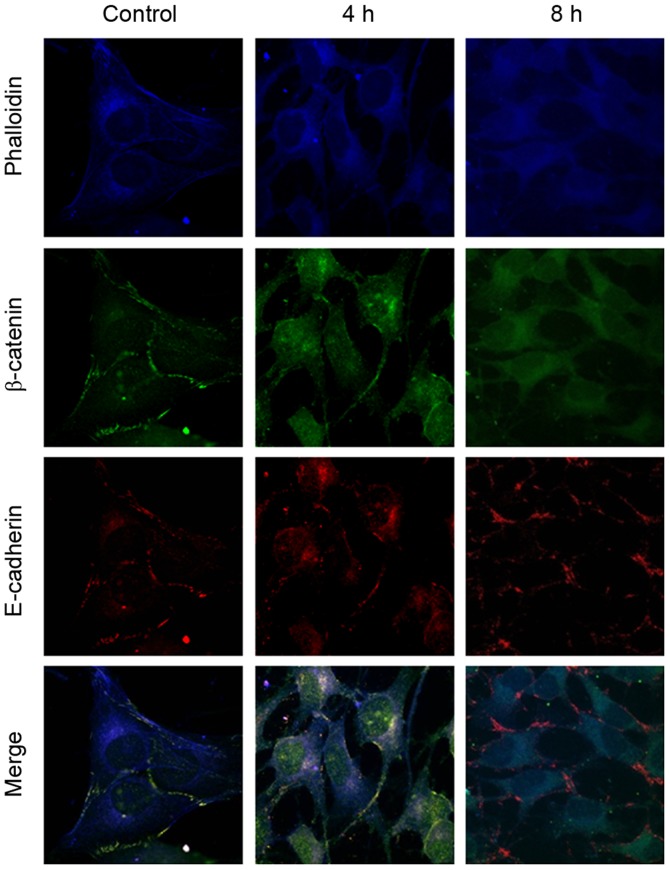 Figure 4.