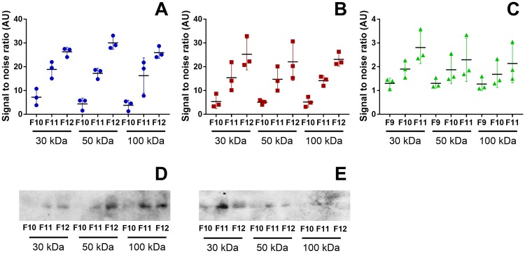 Fig 6