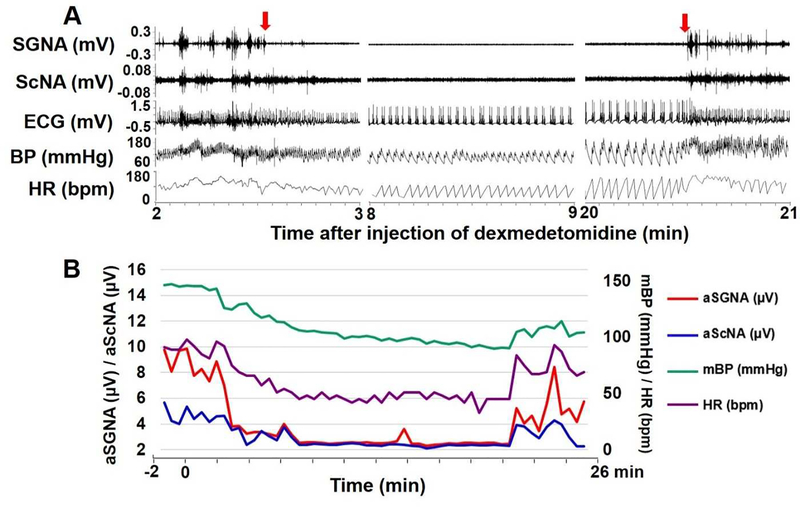 Figure 1: