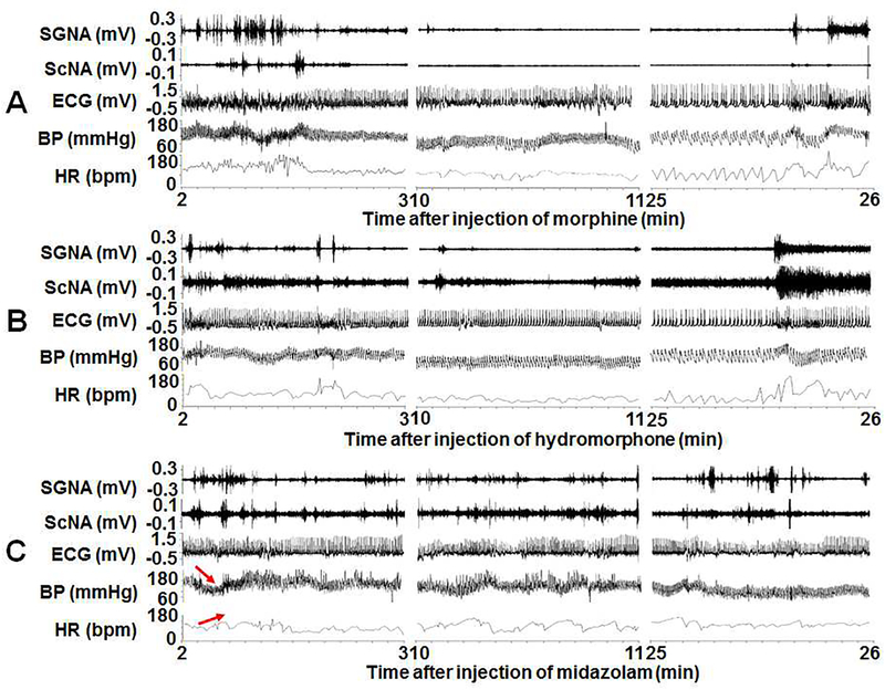 Figure 2: