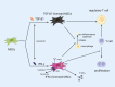 Graphical Abstract