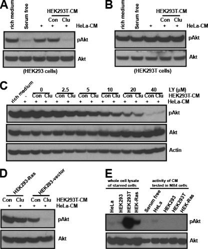 FIG. 9.