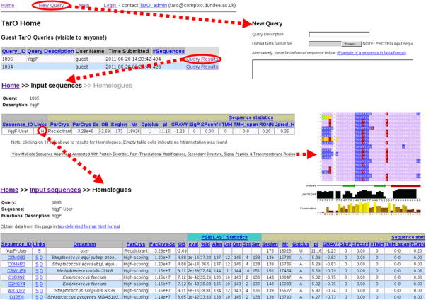 Fig. 4