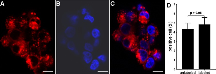 Figure 2: