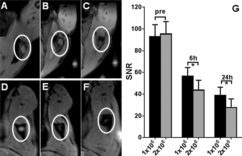 Figure 4: