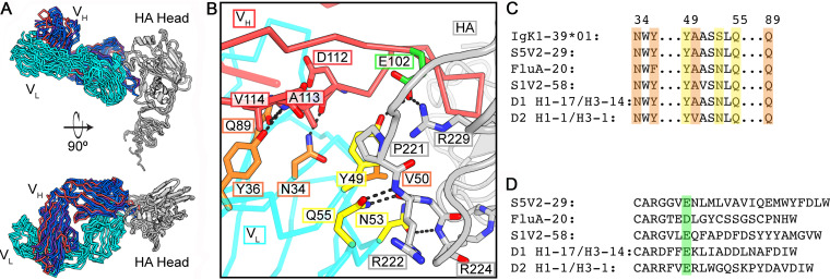 FIG 2