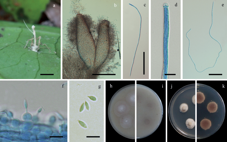 Figure 4.