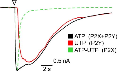 Fig. 2