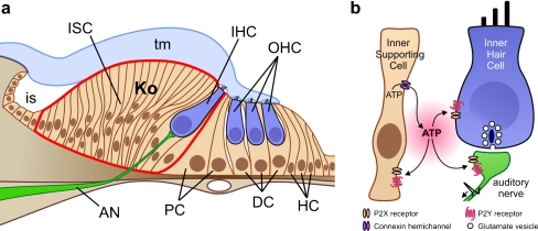 Fig. 1