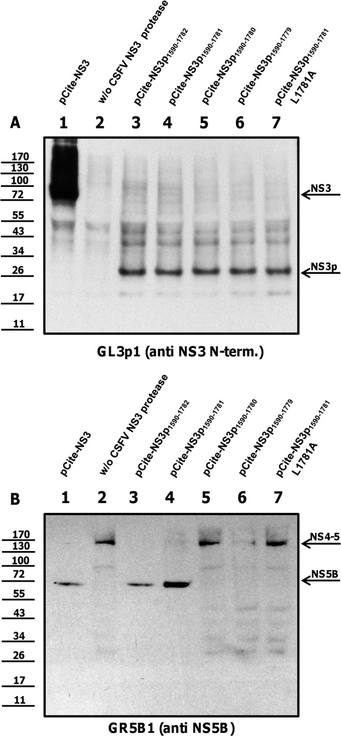 Fig 7