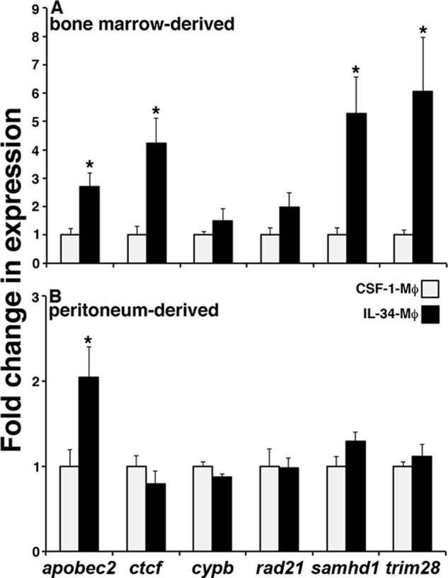 Figure 2.