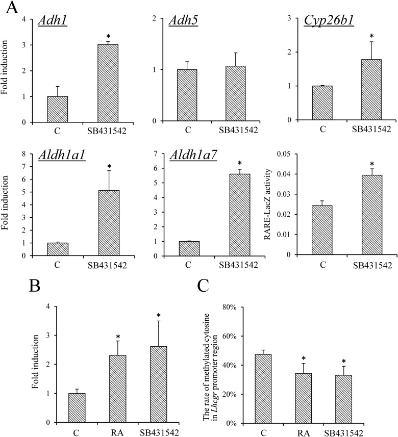 Figure 6.