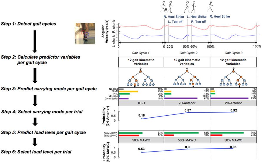 Figure 2: