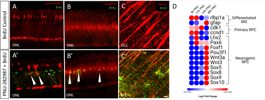 Figure 2: