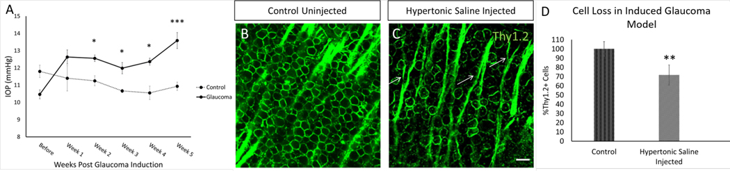 Figure 3: