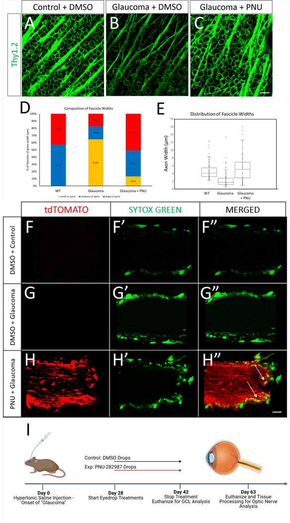 Figure 6: