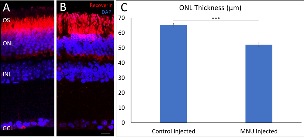 Figure 7: