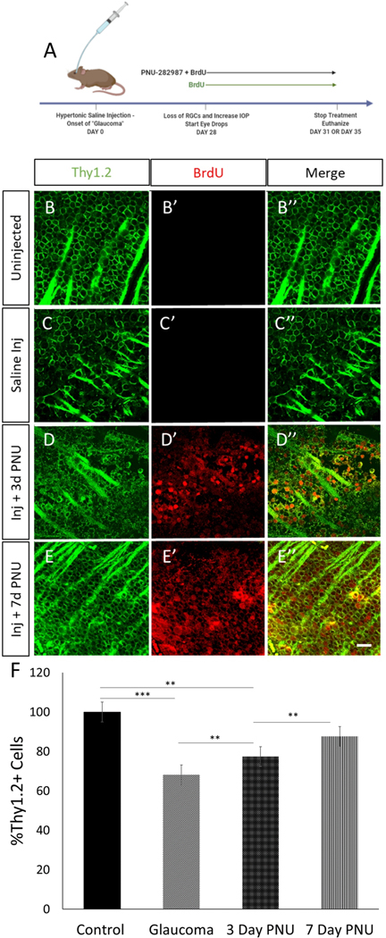 Figure 4: