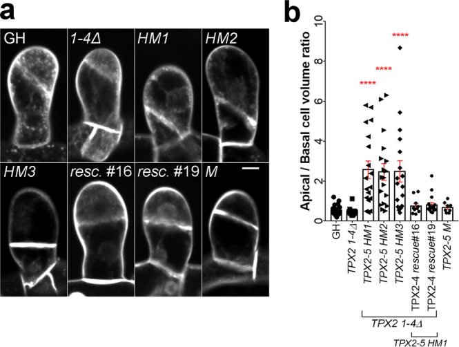 Fig. 4