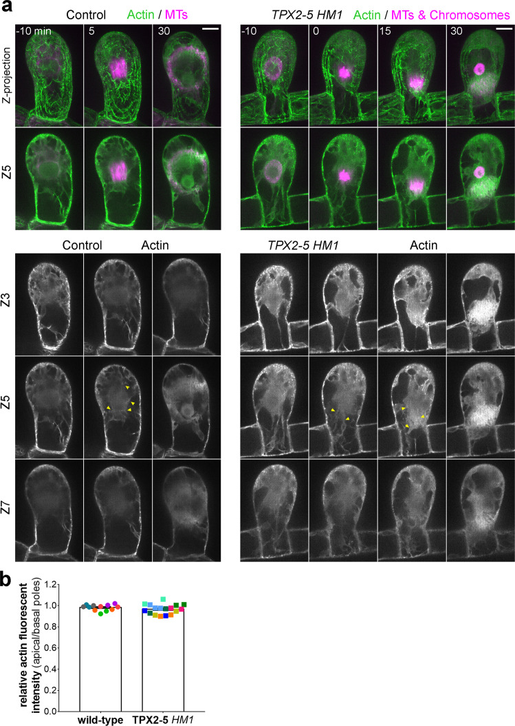 Fig. 6