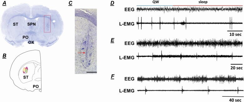 Figure 2.