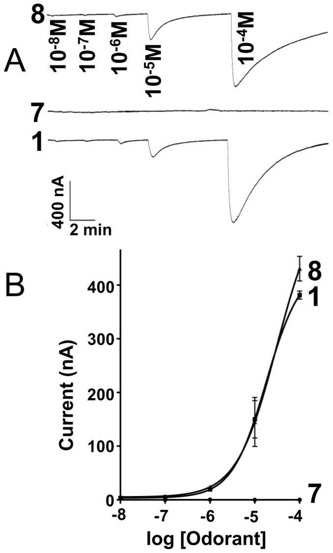 Figure 8