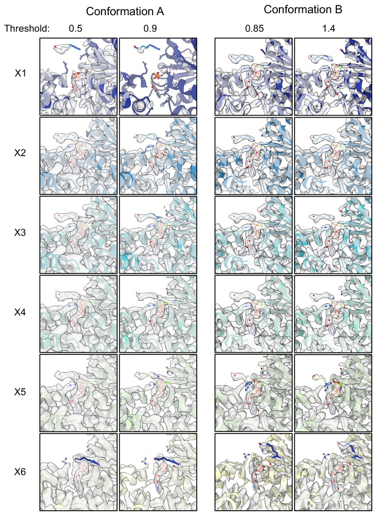 Figure 4—figure supplement 3.