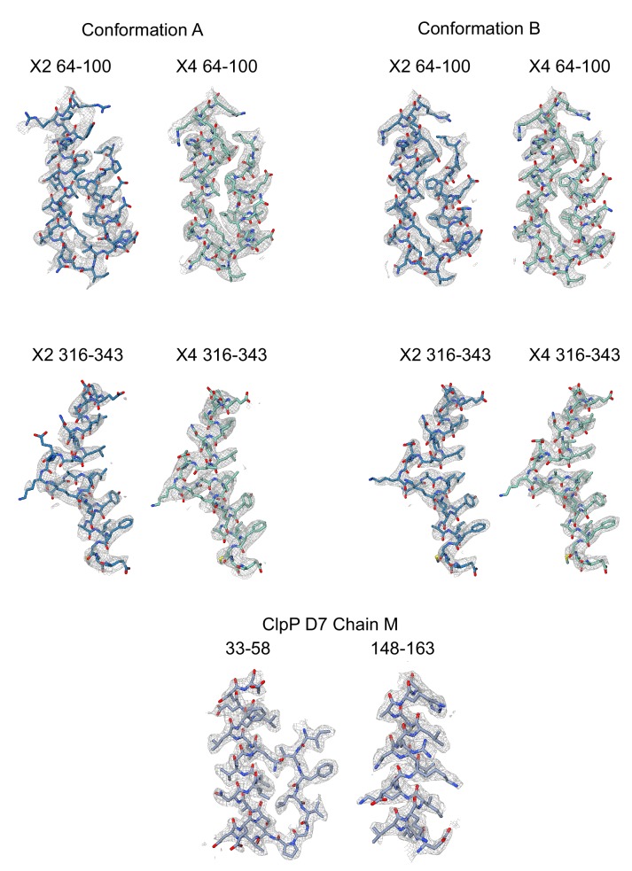 Figure 1—figure supplement 4.