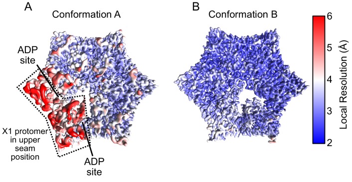 Figure 4—figure supplement 2.