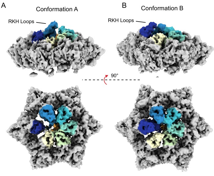 Figure 3—figure supplement 1.