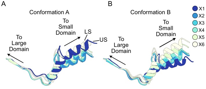 Figure 4—figure supplement 1.