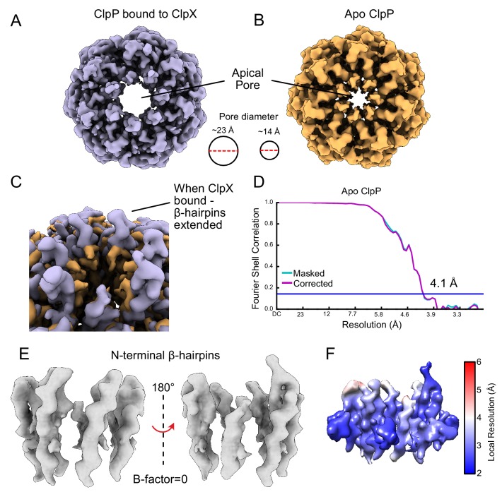 Figure 2—figure supplement 2.