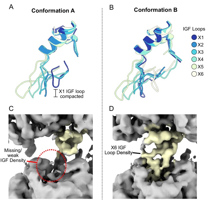 Figure 2—figure supplement 1.