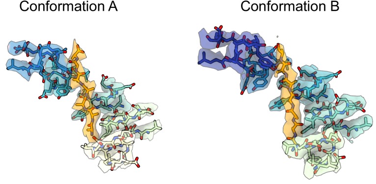 Figure 1—figure supplement 5.