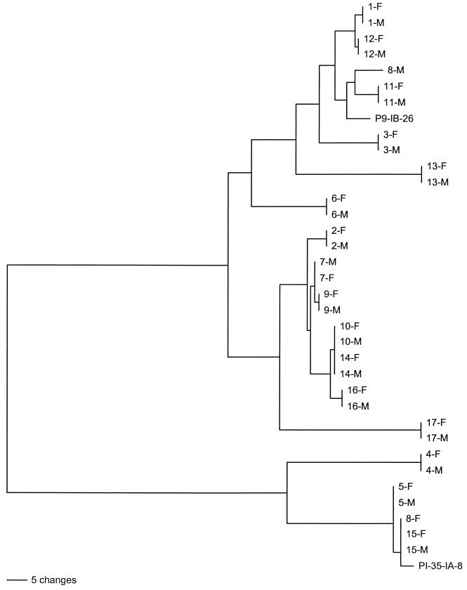 FIG. 4