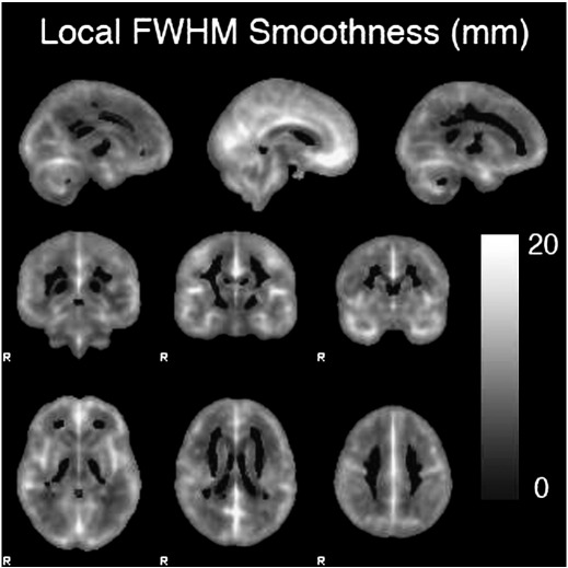 Fig. 4