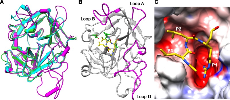 Fig 2