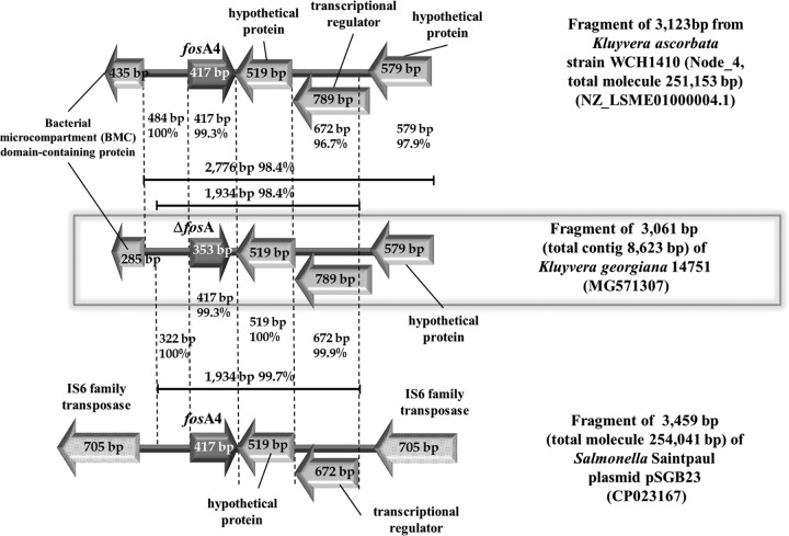 FIG 1